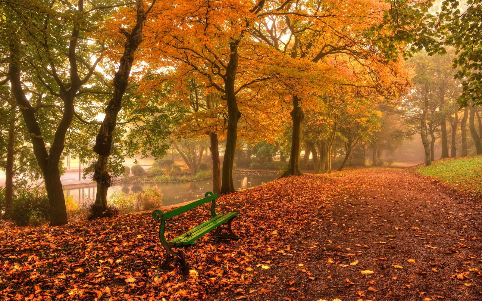 herfst4 (662K)